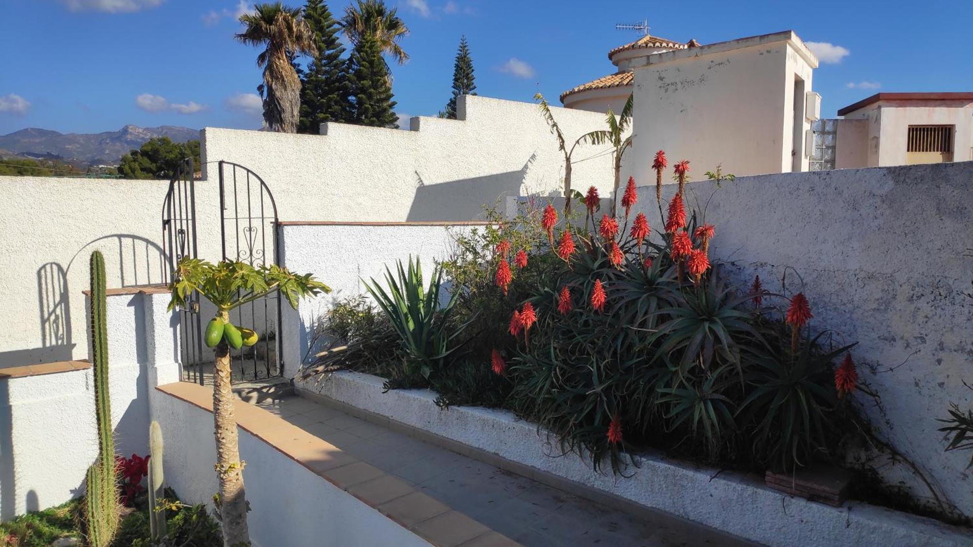 A Little Paradise With Super Views In Almunecar Bagian luar foto